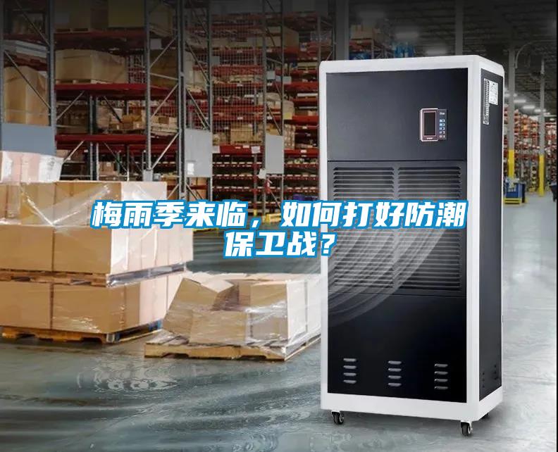 梅雨季來臨，如何打好防潮保衛戰？