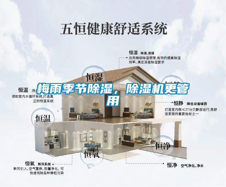 梅雨季節(jié)除濕，除濕機更管用