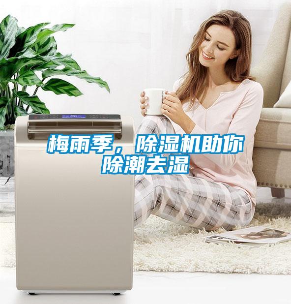 梅雨季，除濕機助你除潮去濕