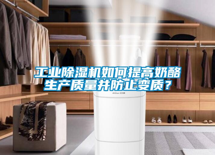 工業除濕機如何提高奶酪生產質量并防止變質？