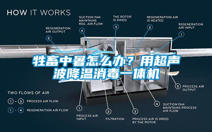 牲畜中暑怎么辦？用超聲波降溫消毒一體機(jī)