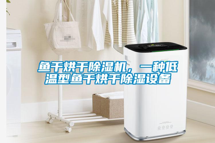 魚(yú)干烘干除濕機(jī)，一種低溫型魚(yú)干烘干除濕設(shè)備