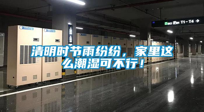 清明時(shí)節(jié)雨紛紛，家里這么潮濕可不行！