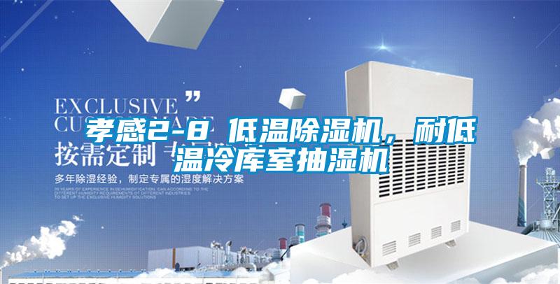 孝感2-8℃低溫除濕機，耐低溫冷庫室抽濕機