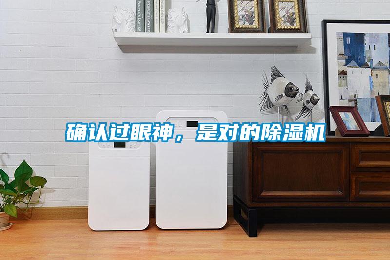 確認(rèn)過眼神，是對(duì)的除濕機(jī)
