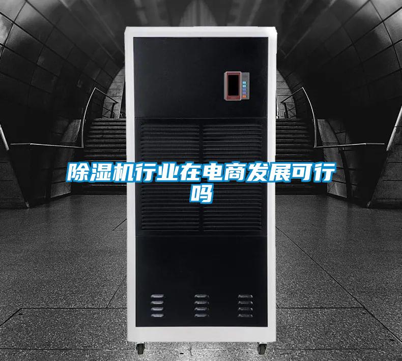除濕機(jī)行業(yè)在電商發(fā)展可行嗎