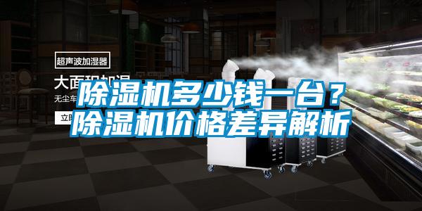 除濕機多少錢一臺？除濕機價格差異解析