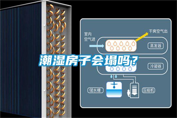 潮濕房子會(huì)塌嗎？