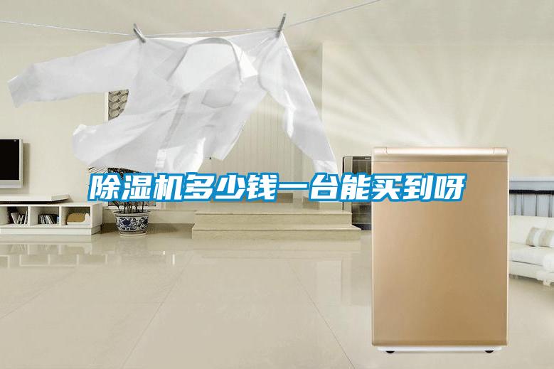 除濕機(jī)多少錢一臺(tái)能買到呀