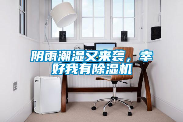 陰雨潮濕又來襲，幸好我有除濕機