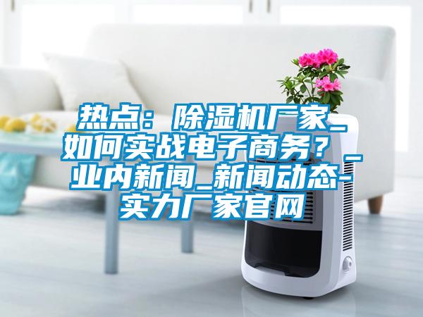 熱點：除濕機廠家_如何實戰電子商務？_業內新聞_新聞動態-實力廠家官網