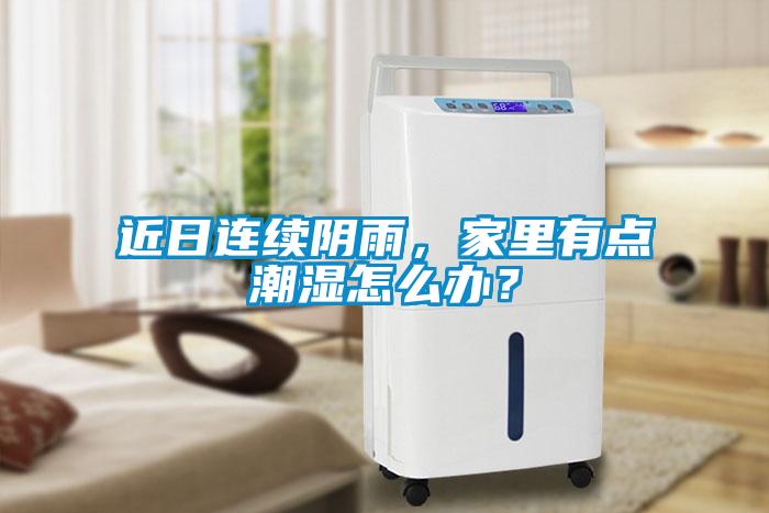 近日連續陰雨，家里有點潮濕怎么辦？