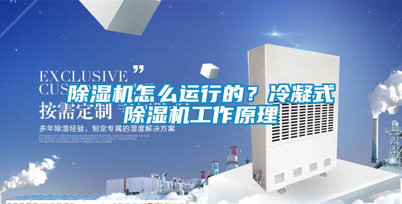 除濕機(jī)怎么運(yùn)行的？冷凝式除濕機(jī)工作原理