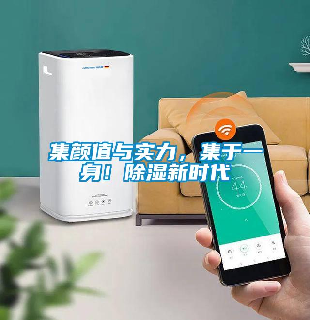 集顏值與實力，集于一身！除濕新時代