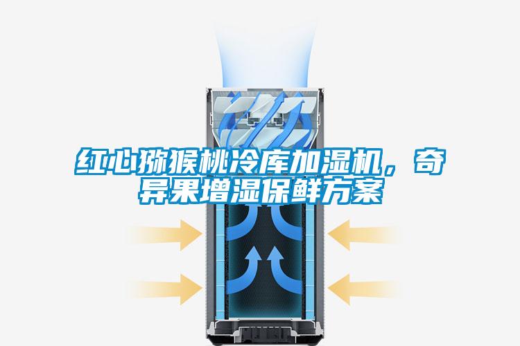 紅心獼猴桃冷庫加濕機，奇異果增濕保鮮方案