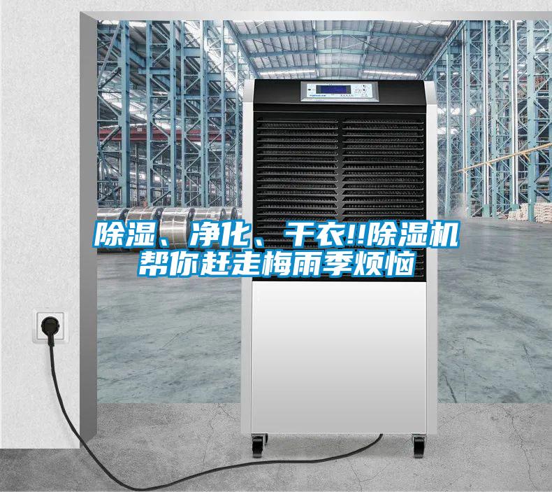 除濕、凈化、干衣!!除濕機(jī)幫你趕走梅雨季煩惱