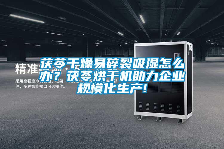 茯苓干燥易碎裂吸濕怎么辦？茯苓烘干機助力企業規模化生產!
