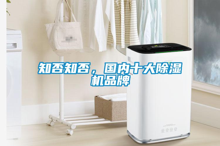 知否知否，國內十大除濕機品牌