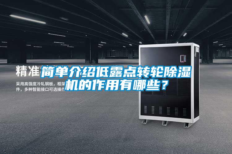 簡單介紹低露點轉(zhuǎn)輪除濕機(jī)的作用有哪些？