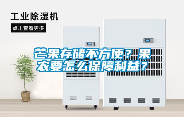 芒果存儲不方便？果農要怎么保障利益？