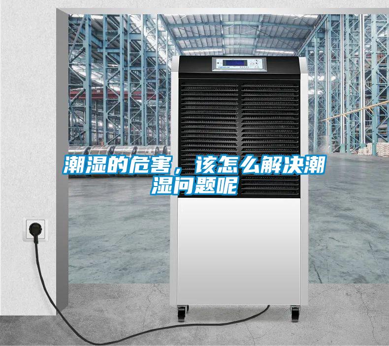 潮濕的危害，該怎么解決潮濕問題呢