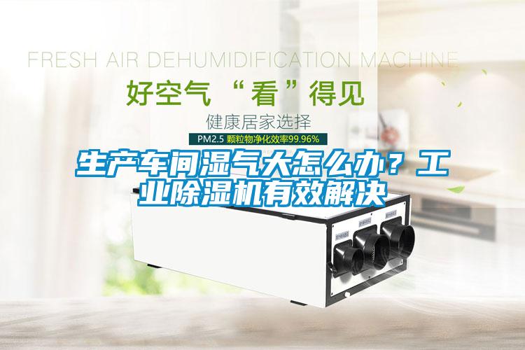 生產(chǎn)車間濕氣大怎么辦？工業(yè)除濕機(jī)有效解決