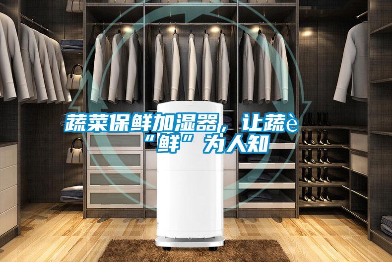 蔬菜保鮮加濕器，讓蔬菜“鮮”為人知