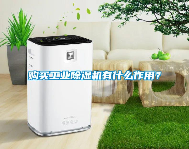 購(gòu)買工業(yè)除濕機(jī)有什么作用？