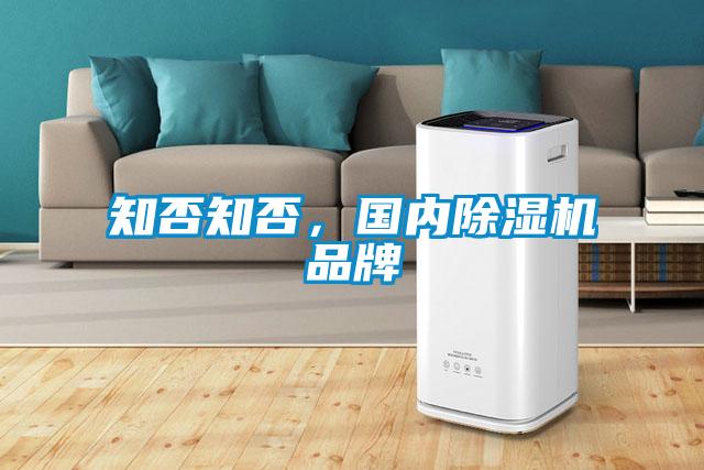 知否知否，國(guó)內(nèi)除濕機(jī)品牌