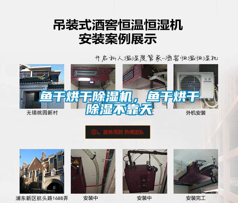 魚(yú)干烘干除濕機(jī)，魚(yú)干烘干除濕不靠天