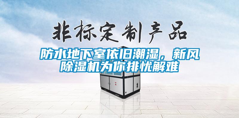 防水地下室依舊潮濕，新風除濕機為你排憂解難