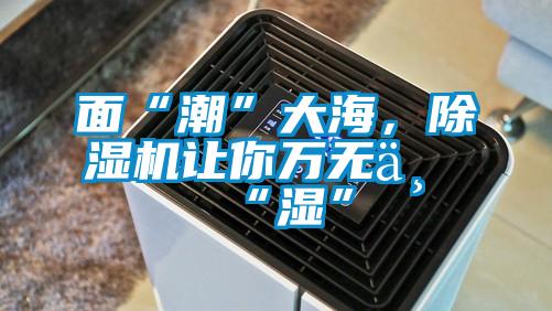 面“潮”大海，除濕機(jī)讓你萬無一“濕”