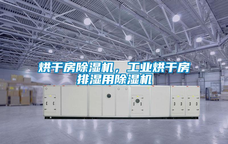 烘干房除濕機(jī)，工業(yè)烘干房排濕用除濕機(jī)