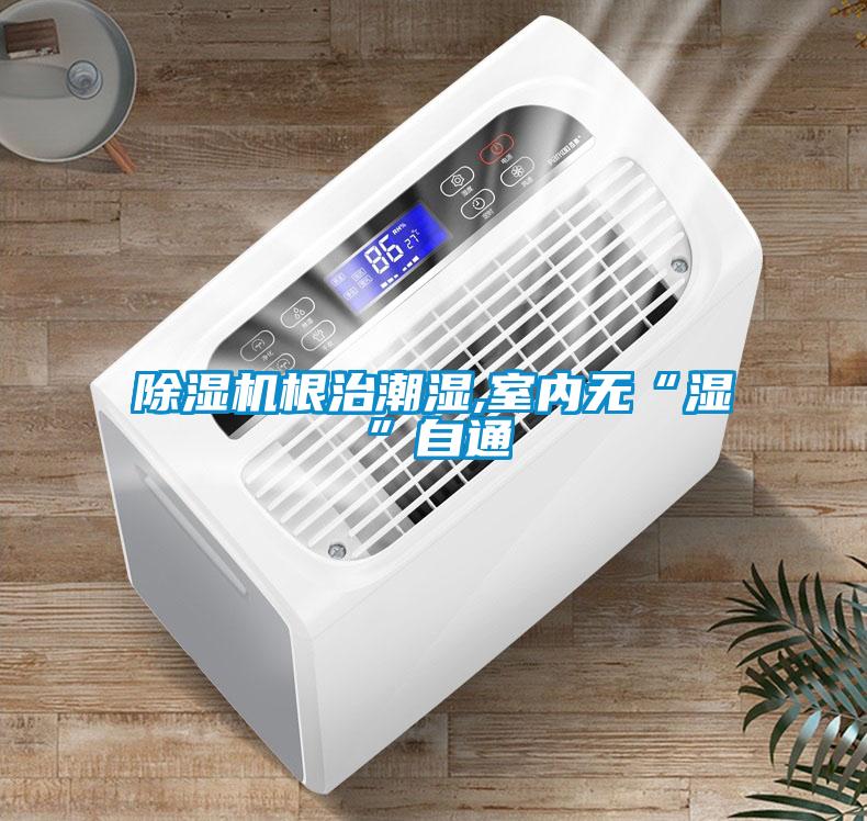 除濕機根治潮濕,室內(nèi)無“濕”自通
