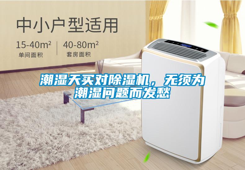 潮濕天買(mǎi)對(duì)除濕機(jī)，無(wú)須為潮濕問(wèn)題而發(fā)愁