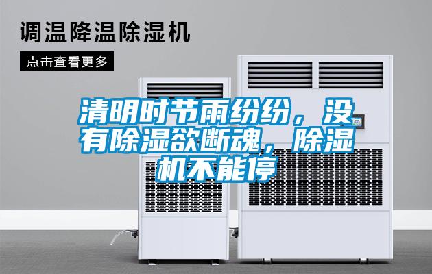 清明時節雨紛紛，沒有除濕欲斷魂，除濕機不能停