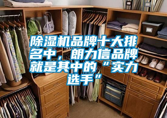 除濕機(jī)品牌十大排名中，朗力信品牌就是其中的“實力選手”