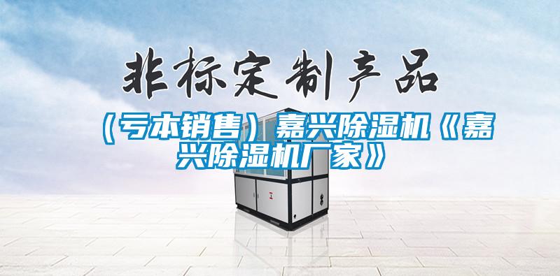 （虧本銷(xiāo)售）嘉興除濕機(jī)《嘉興除濕機(jī)廠家》
