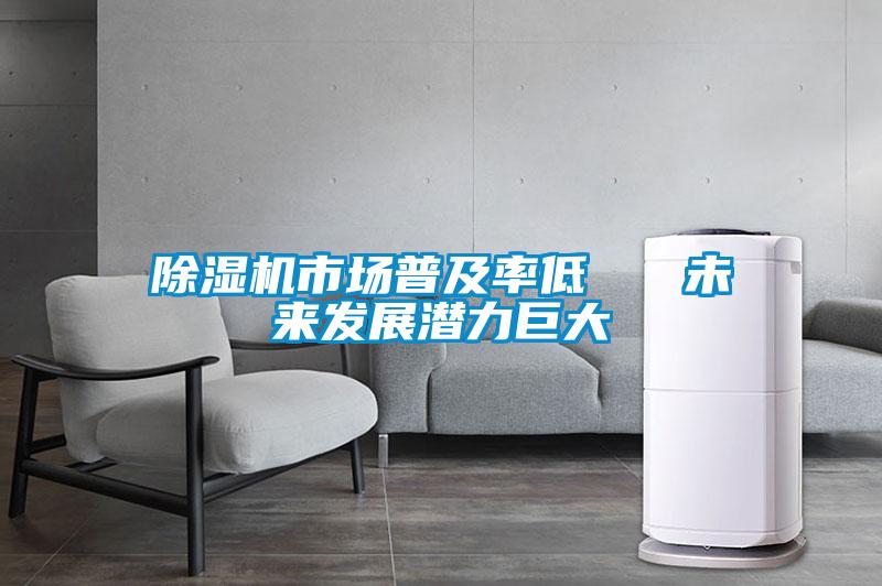 除濕機(jī)市場普及率低   未來發(fā)展?jié)摿薮?/></p>
						    <p style=