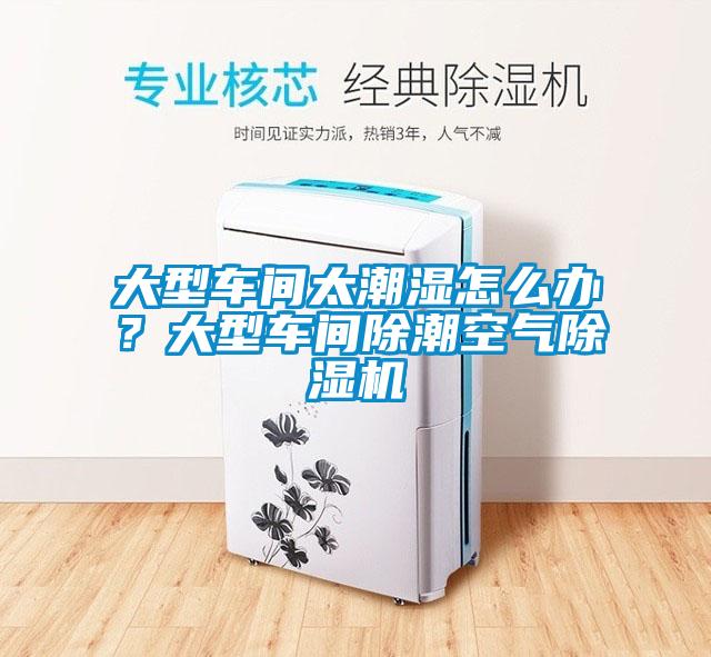 大型車間太潮濕怎么辦？大型車間除潮空氣除濕機