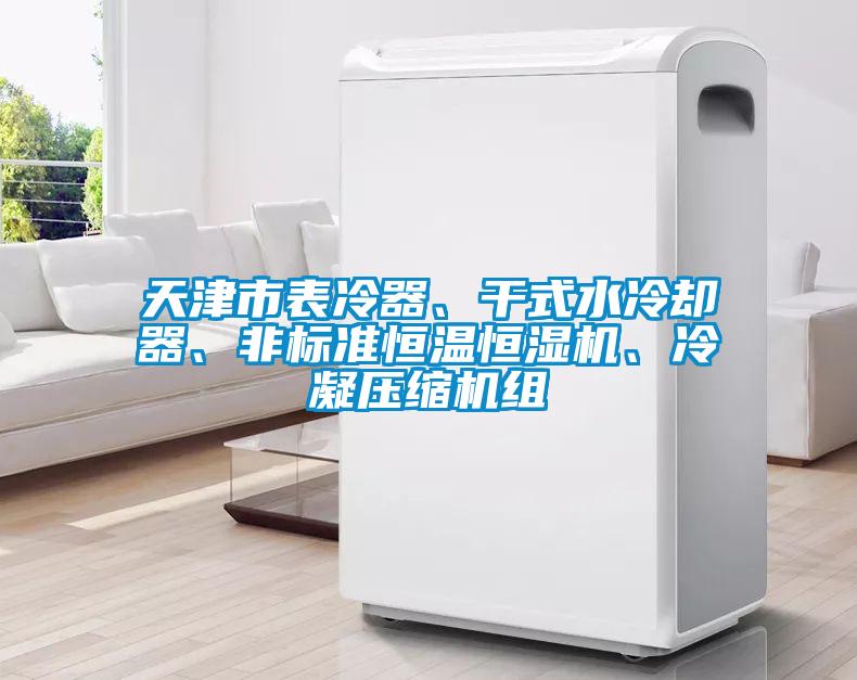 天津市表冷器、干式水冷卻器、非標準恒溫恒濕機、冷凝壓縮機組