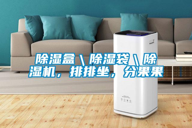 除濕盒＼除濕袋＼除濕機，排排坐，分果果