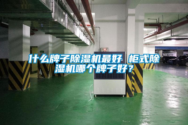 什么牌子除濕機最好 柜式除濕機哪個牌子好？
