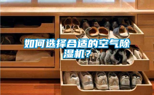 如何選擇合適的空氣除濕機？