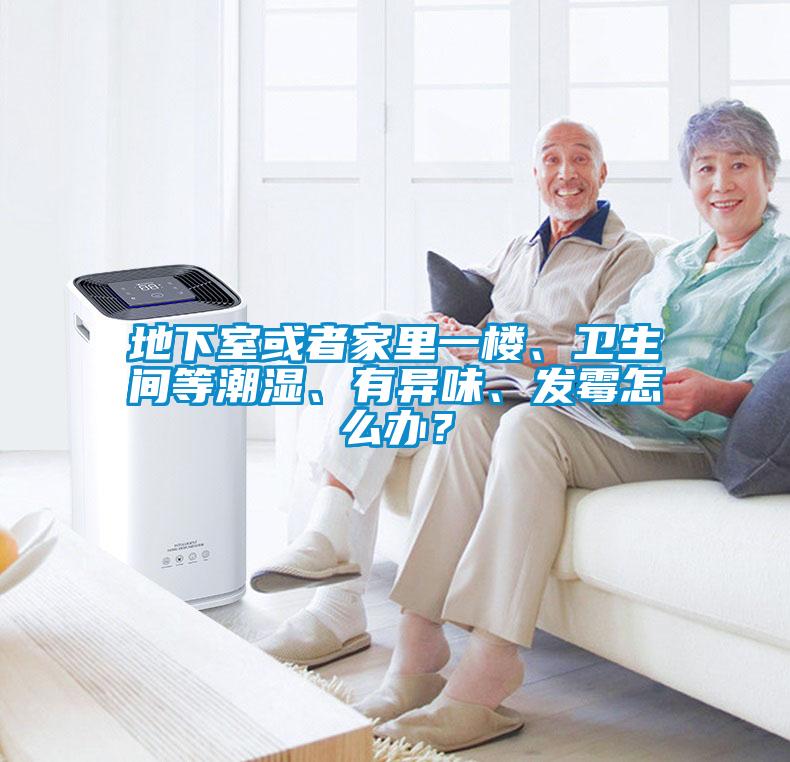 地下室或者家里一樓、衛(wèi)生間等潮濕、有異味、發(fā)霉怎么辦？