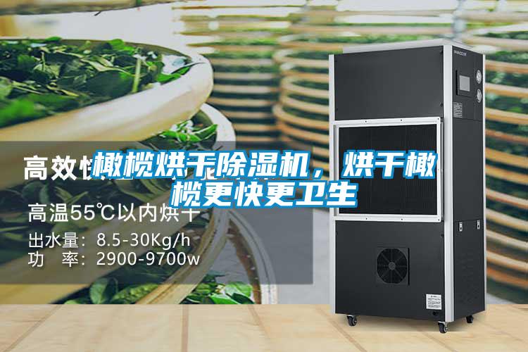 橄欖烘干除濕機，烘干橄欖更快更衛生