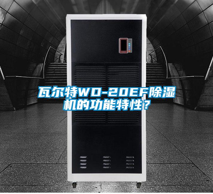 瓦爾特WD-20EF除濕機(jī)的功能特性？