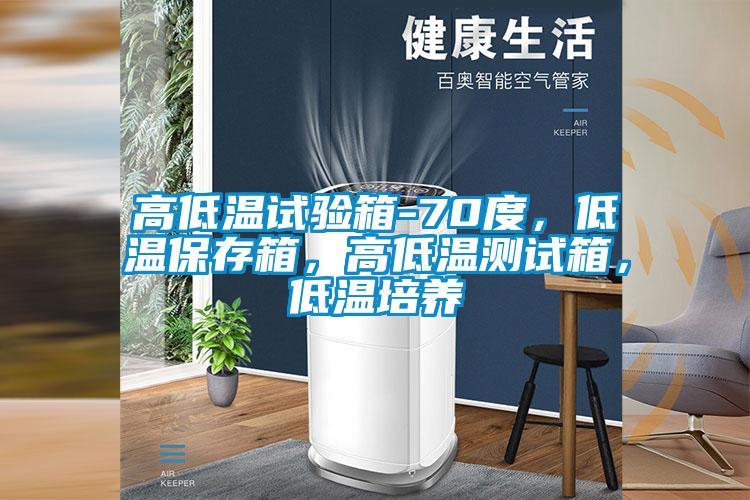 高低溫試驗(yàn)箱-70度，低溫保存箱，高低溫測(cè)試箱，低溫培養(yǎng)