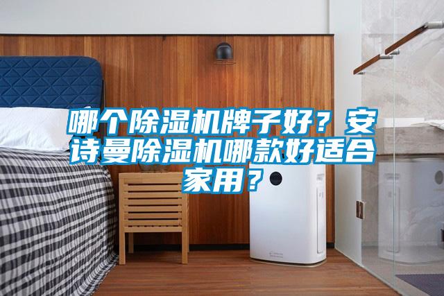 哪個除濕機牌子好？安詩曼除濕機哪款好適合家用？