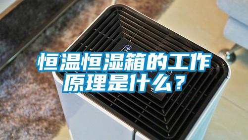 恒溫恒濕箱的工作原理是什么？